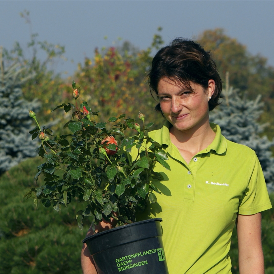 Kathrin Sedlmeier