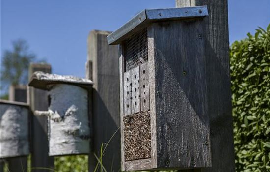 Das Insektenhotel in Ihrem Garten