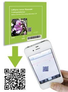 Einführung von QR-Codes