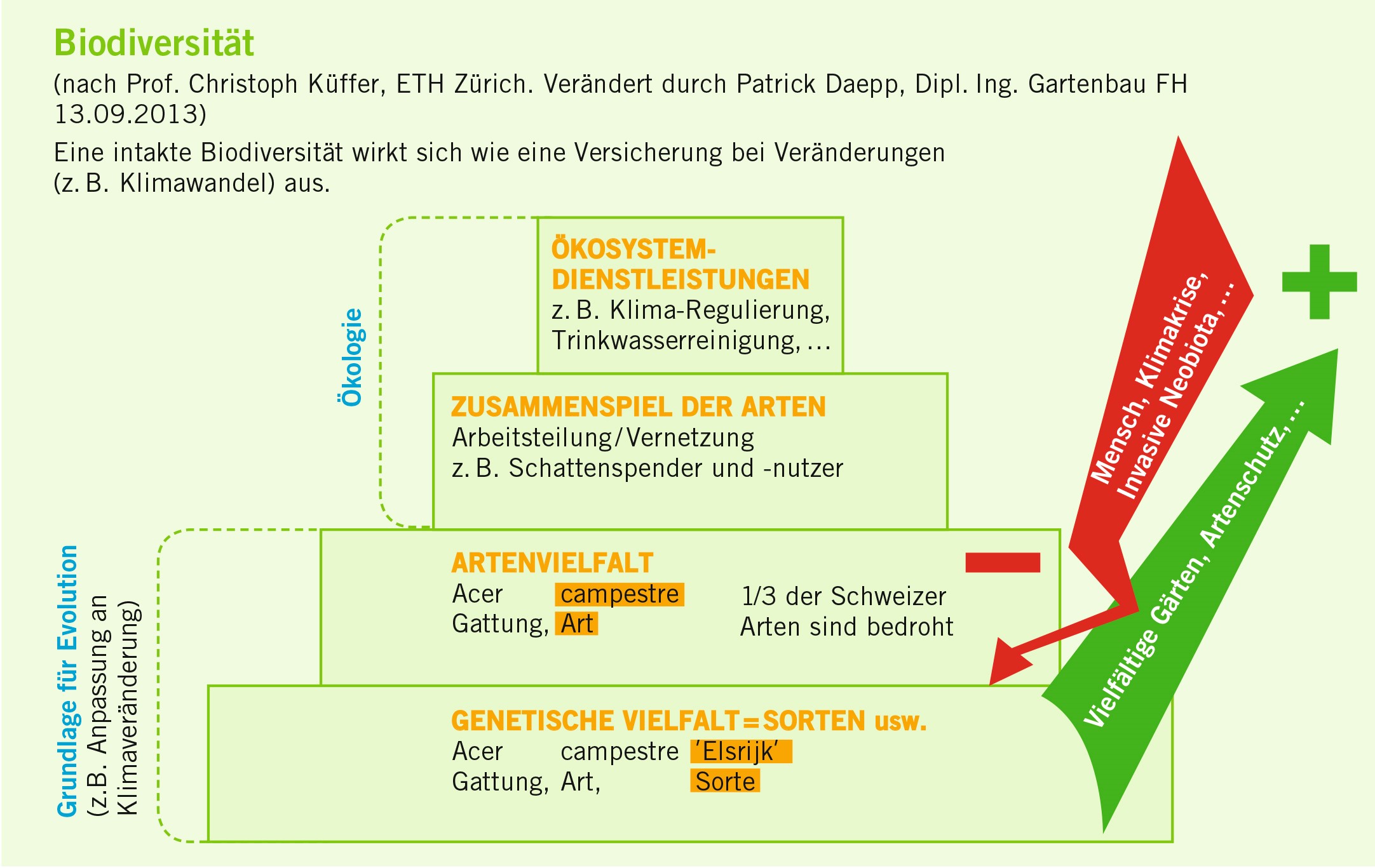 Grafik Biodiversität.jpg