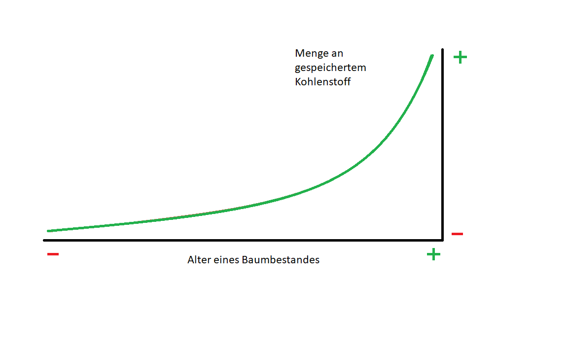 Rudimentäre Kurve CO2.png