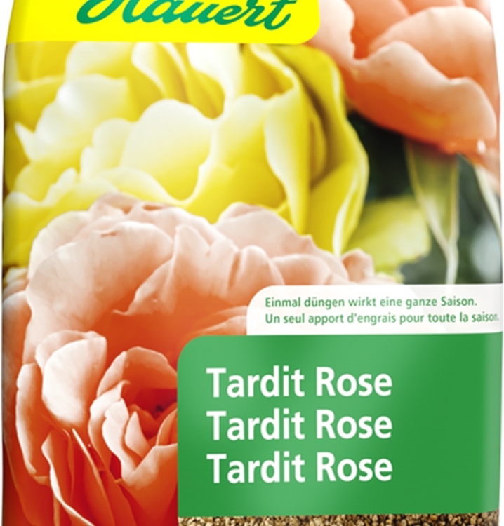 Tardit Rose 2.5 kg