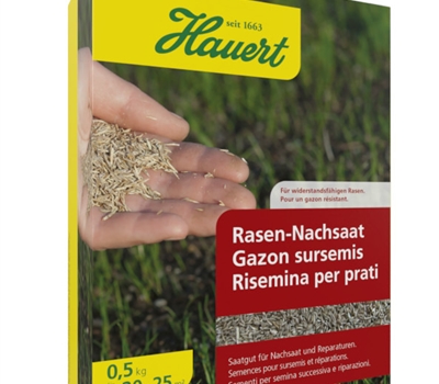 Rasen-Nachsaat 0.5 kg