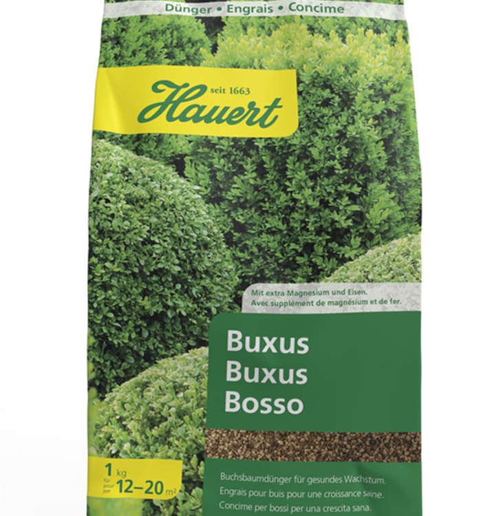 Buxus 1 kg